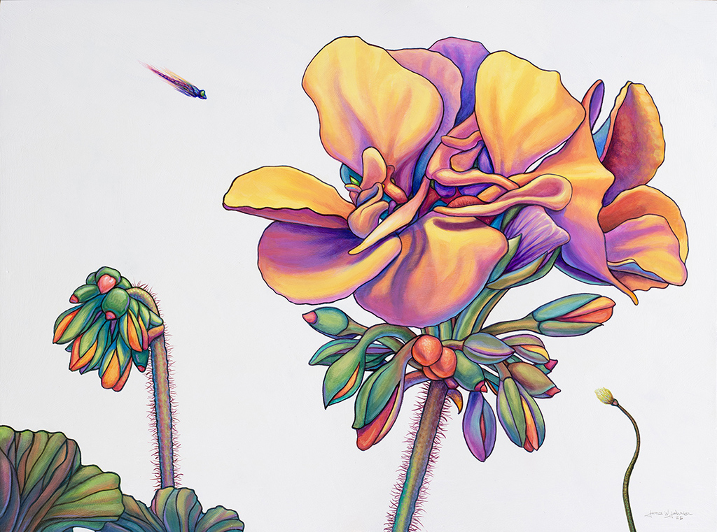 Geranium Interpretation